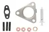 Фото Монтажний комплект турбіни (без масла в шприці) RENAULT GRAND SCENIC II SUZUKI GRAND VITARA II 1.9D 04.04-02.15 EVORON (EVMK0035) зображення 1