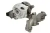 Турбокомпресор (Новий) AUDI A3 SKODA YETI VW EOS, GOLF PLUS V, GOLF V, GOLF VI, JETTA III, PASSAT B6, SCIROCCO III, TIGUAN 2.0D 05.03-07.18 EVORON (EVTC0210) зображення 1