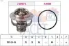 Фото Термостат FACET (7.8957) изображение 1