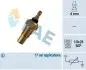 Датчик температуры жидкости охлаждения FAE (32310) изображение 1