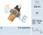 Термовимикач, індикатор рівня охолоджувальної рідини FAE (35960) зображення 1