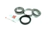 Подшипник ступицы (передней) Mitsubishi Pajero 88-/Hyundai Terracan 01-06 (45.24x73.43x19.81) (к-т) FAG (713619140) изображение 7