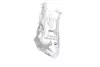 Фото ШРКШ (зовнішній) Ford Fiesta V 01-08/Fusion 02-12 (25z/22z/53.3) FAG (771026030) зображення 3