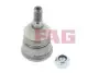 Шаровая опора MERCEDES FAG (825005810) изображение 1