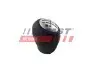 РУЧКА ПЕРЕКЛЮЧЕНИЯ КПП RENAULT LAGUNA II FAST (FT09038) изображение 1