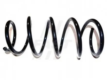 Фото 1 — Пружина FAST (FT12248) Фото Пружина FAST (FT12248) зображення 1