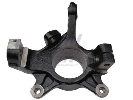 Кулак поворотний (цапфа) Renault Master 98-06 (d=22mm) (R) FAST FT13520 Купити в Україні