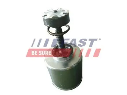 Поршень FAST FT32289 Купити в Україні