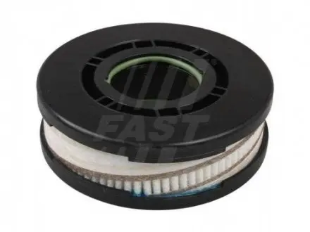 Фільтр сапуна Iveco Daily/Fiat Ducato/Peugeot Boxer/Citroen Jumper 3.0 06- FAST FT38076 Купити в Україні