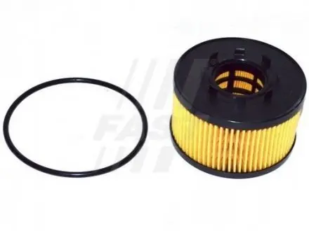 Фільтр масляний Ford Transit V184 00-06 FAST FT38086