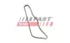 Цепь ГРМ MB OM615/616/617 FAST (FT41808) изображение 2
