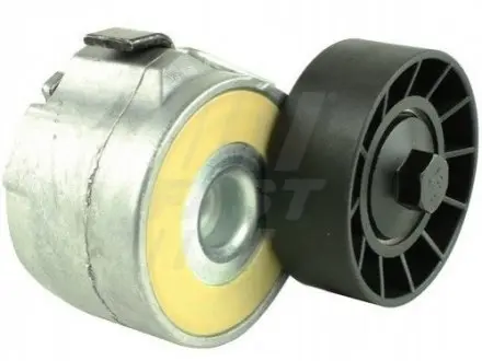 Фото Натяжник ременя генератора Fiat Ducato 3.0HDI 06- FAST (FT44613) зображення 1