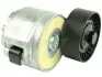 Натяжник паска приводного Fiat, Opel 1.6D Multijet-2.0D Multijet 01.04- FAST (FT44617) изображение 1