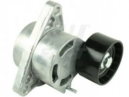 Натяжник кулич поликлин. Nissan/Renault 2.2dCi-2.5dCi 2003- FAST FT44620