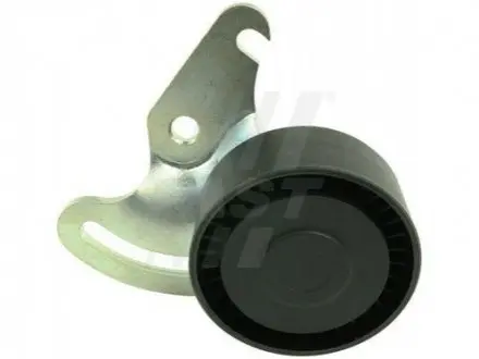 Ролик поликлинового ремня RENAULT CLIO, KANGO, MEGANE, SCENIC 1,5dCi 01- FAST FT44632