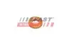 Подкладка распылителя Renault 7x15x3 1.5/1.9 dci, mot. F9Q FAST (FT47801) изображение 1
