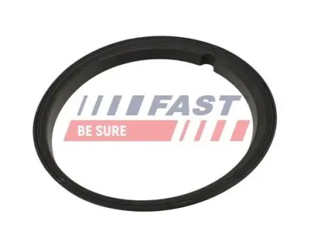 Ущільнення паливного насосу FAST FT48502 Купити в Україні