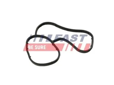 Прокладка масляного радиатора OPEL MOVANO 2.3CDTI 10- FAST FT48941