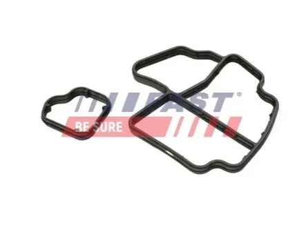 Прокладка масляного фильтра VW CADDY 1.6/2.0TDI 10-20 SKODA FABIA 1.6TDI 10-14 FAST FT48945