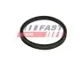 Автозапчасть FAST (FT48947) изображение 2