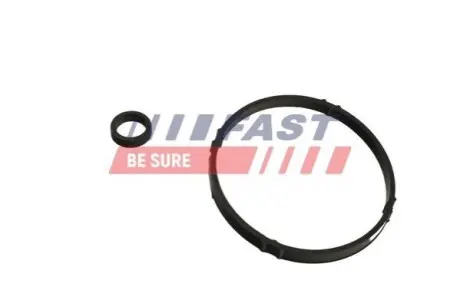 ПРОКЛАДКА CITROEN BERLINGO 96> МАСЛЯНЫЙ РАДИАТОР FAST FT48952 Купити в Україні