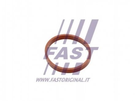 Автозапчастина FAST FT49418 (фото 1)