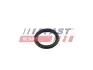 Прокладка впускного колектора FAST (FT49419) зображення 1
