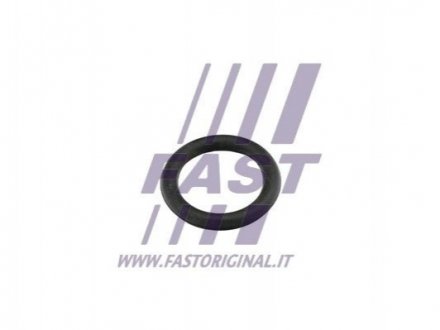 Автозапчасть FAST FT49419