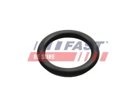 Прокладка колектора впускного Citroen C3/Peugeot 206/307 1.4 HDi 01 FAST FT49426