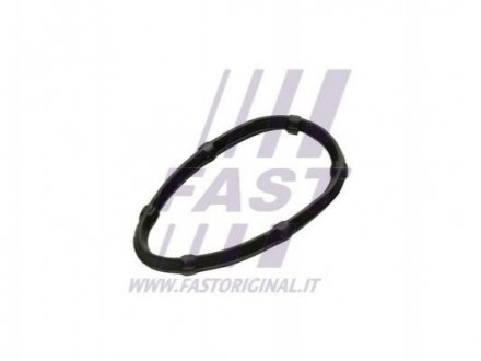 Прокладка колектора IN Nissan Primastar 2.0cDi 01-/ Renault (K4M, F4P, F4R, K4J) 1.4 16V -03 FAST FT49457 (фото 1)