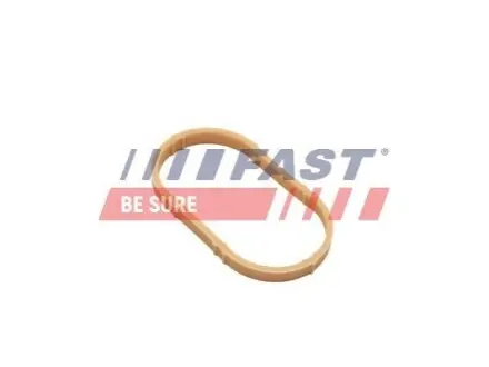 Фото 1 — Автозапчасть FAST (FT49461) Фото Автозапчасть FAST (FT49461) изображение 1