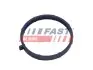 Фото Автозапчасть FAST (FT49467) изображение 1