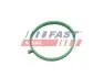 ПРОКЛАДКА КОЛЛЕКТОРА FIAT DOBLO 09> ВПУСКНОЙ 1.4 Flex 14> FAST (FT49472) изображение 1