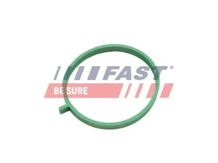 ПРОКЛАДКА КОЛЛЕКТОРА FIAT DOBLO 09> ВПУСКНОЙ 1.4 Flex 14> FAST FT49472