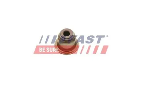 Сальник клапана (впуск/випуск) Citroen Berlingo/Fiat Scudo 1.6HDI (5.5x9.5/18.1x14.0) FAST FT49616