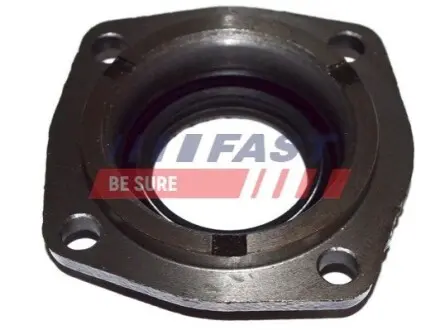 Сальник півосі лiв. Fiat Ducato 2.3JTD 02 FAST FT49838 Купити в Україні
