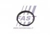 Прокладання вакуумного насоса Fiat Ducato/ Peugeot Boxer/Ford Transit 2.2HDi/TDCi 06- FAST FT49853 (фото 1)