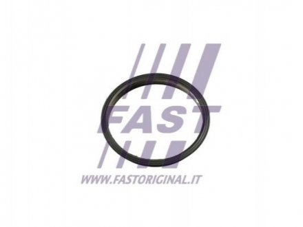 Прокладання вакуумного насоса Fiat Ducato/ Peugeot Boxer/Ford Transit 2.2HDi/TDCi 06- FAST FT49853 (фото 1)