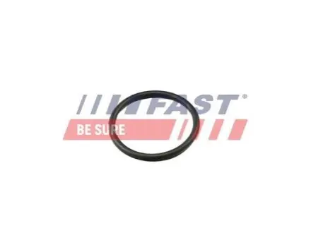 Прокладка термостату FAST FT49917