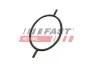 Прокладка вакуумного насоса Ford Focus/Connect/Escort/Mondeo 1.8D/1.8TD/1.8TDCI FAST (FT49923) изображение 1