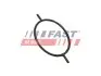 Прокладка вакуумного насоса Ford Focus/Connect/Escort/Mondeo 1.8D/1.8TD/1.8TDCI FAST (FT49923) изображение 2