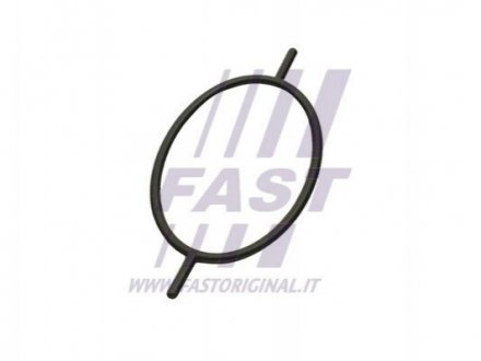 Прокладка вакуумного насоса Ford Focus/Connect/Escort/Mondeo 1.8D/1.8TD/1.8TDCI FAST FT49923 (фото 1)
