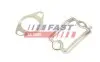 УПЛОТНИТЕЛЬНОЕ КОЛЬЦО FIAT DOBLO 00> КЛАПАН EGR 1.9 D 01> FAST (FT49925) зображення 1