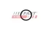 FAST (FT49926) изображение 1