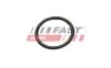 Ущільнююче кільце FIAT DUCATO 06> корпус термостата 2.2 HDI FAST (FT49927) зображення 2