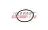 УПЛОТНИТЕЛЬНОЕ КОЛЬЦО FIAT DOBLO 09> ИНТЕРКУЛЛЕР 3.53X53.57 FAST (FT49933) изображение 1