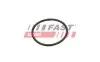 УПЛОТНИТЕЛЬНОЕ КОЛЬЦО FIAT DOBLO 09> ИНТЕРКУЛЛЕР 3.53X53.57 FAST (FT49933) изображение 2