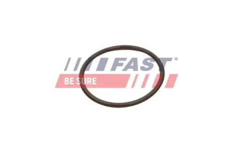 УПЛОТНИТЕЛЬНОЕ КОЛЬЦО FIAT DOBLO 09> ИНТЕРКУЛЛЕР 3.53X53.57 FAST FT49933
