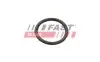 УПЛОТНИТЕЛЬНОЕ КОЛЬЦО CITROEN JUMPER 06> НАСОС ОХЛ. ЖИДКОСТИ 2.2 HDI FAST (FT49934) изображение 1