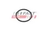 Автозапчасть FAST (FT49935) изображение 1